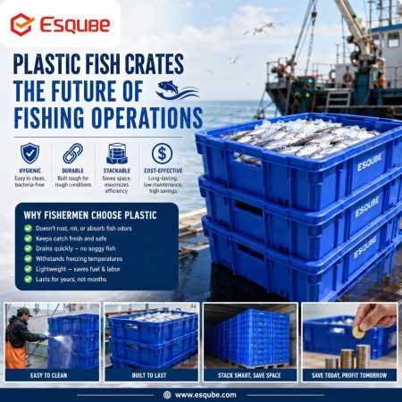 Why-Plastic-Fish-Crates-Are-the-Future-of-Fishing-Operations